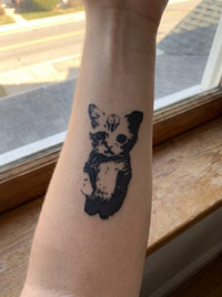 El gato semi-permanent temporary tattoo
