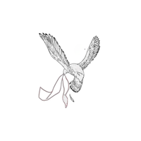 Freedom Bird temporary tattoo design