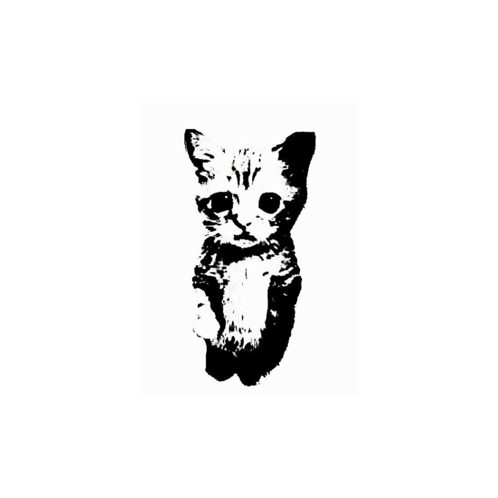 El gato temporary tattoo design