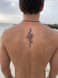 Snake semi-permanent temporary tattoo