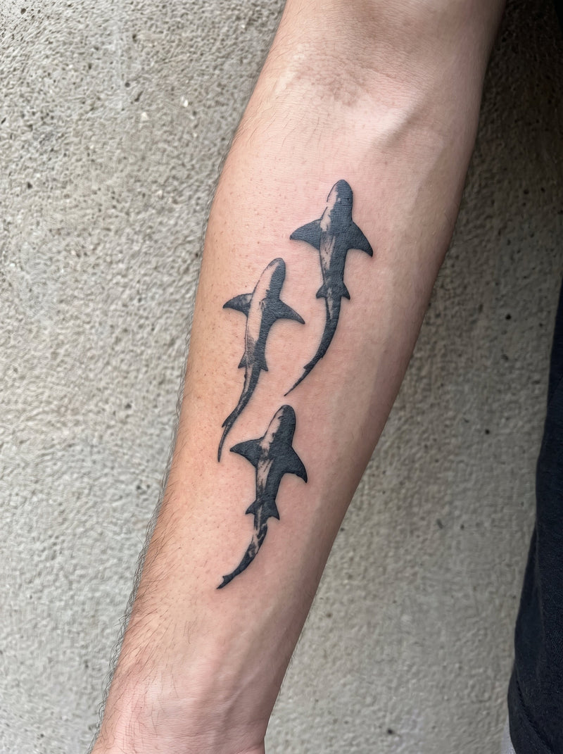 Shark Trio temporary tattoo shown on a forearm