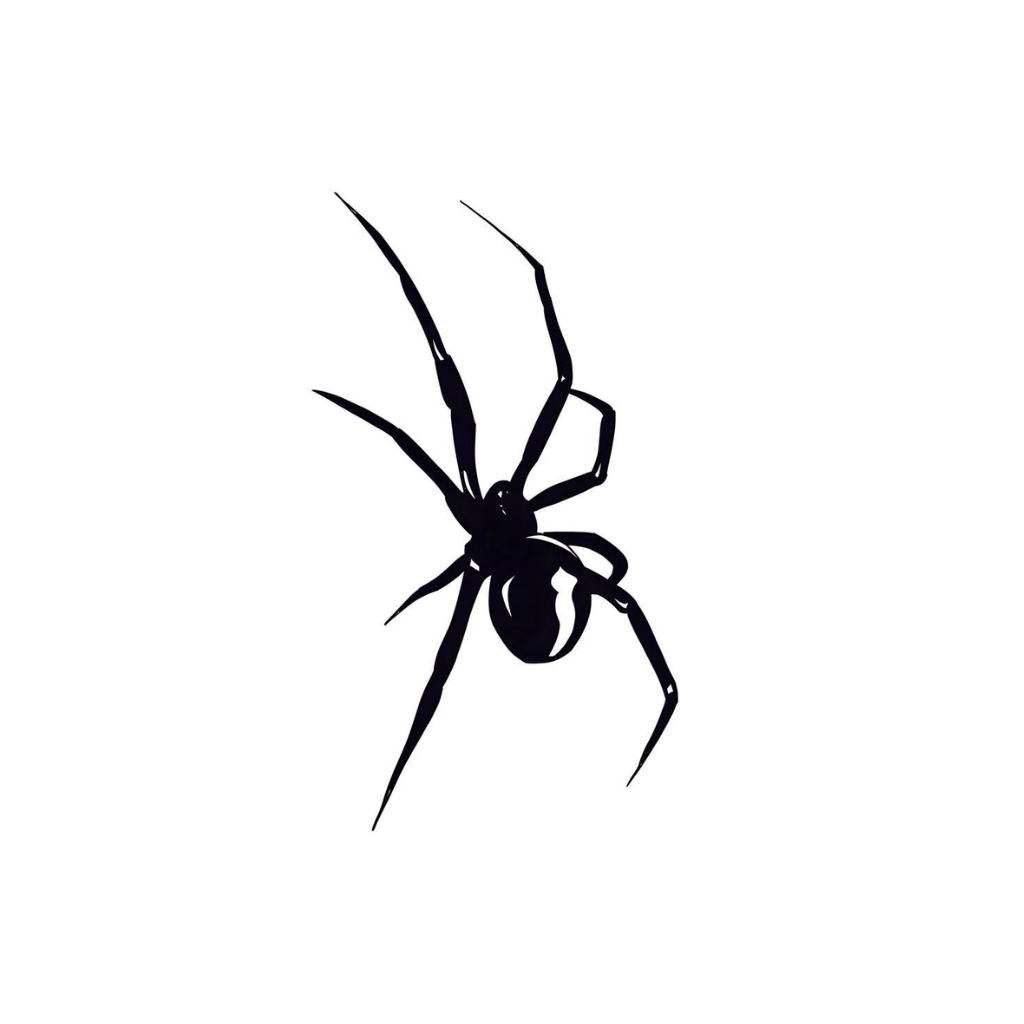 Large Spider semi-permanent temporary tattoo